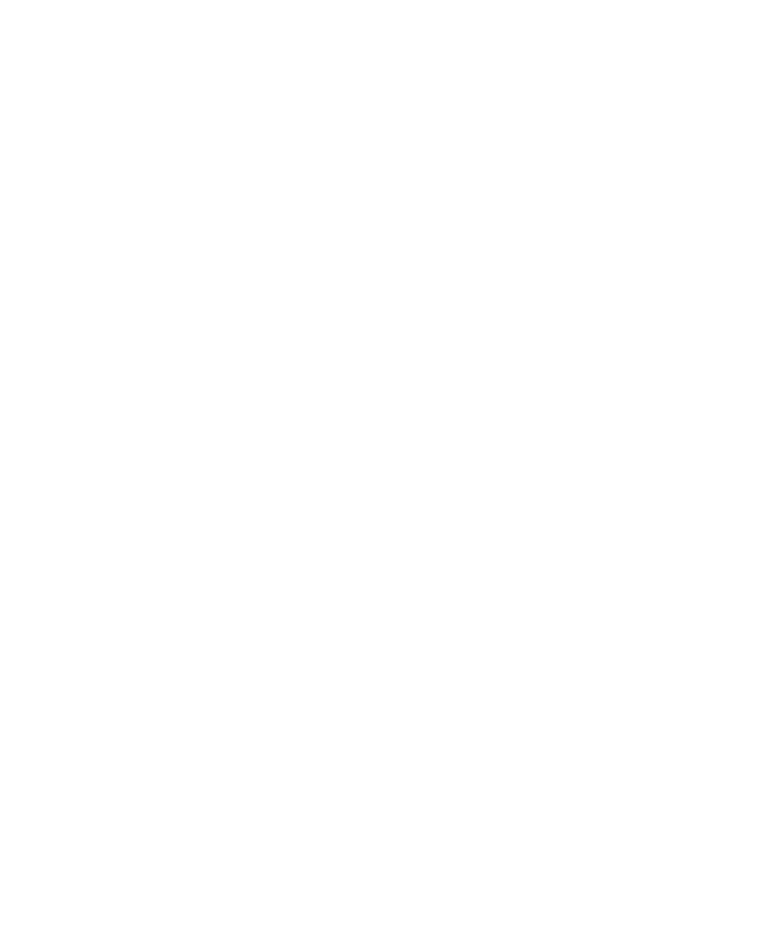 برنامج زمالة الإعلام الرقمي